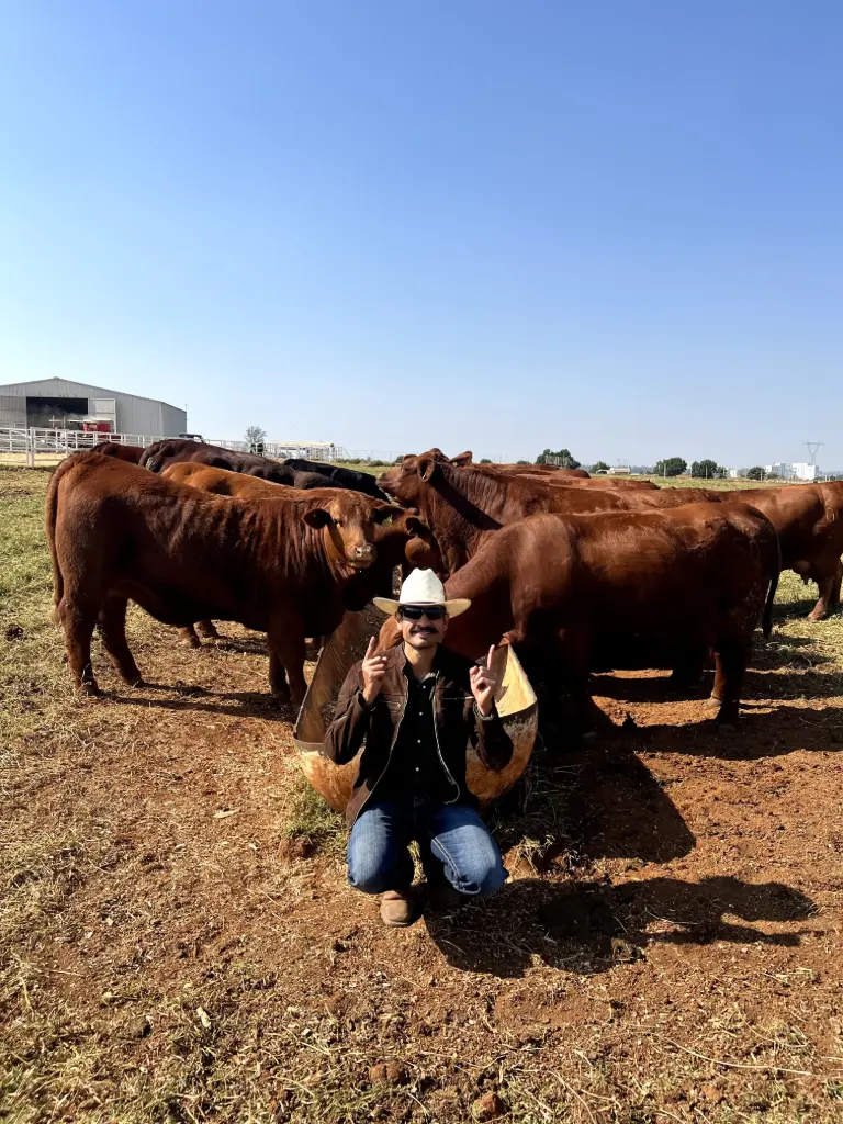 Asesoría Plan Personalizado