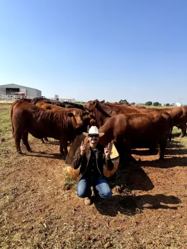Asesoría Plan Personalizado